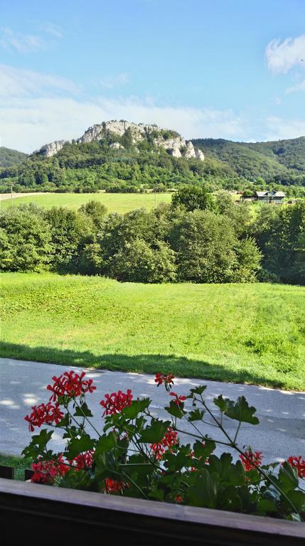 Penzion Manin Považská Bystrica Exterior foto